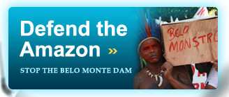 Defend the Amazon, Stop the Belo Monte Dam
